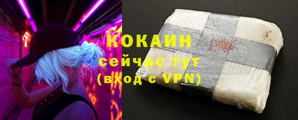 индика Балахна