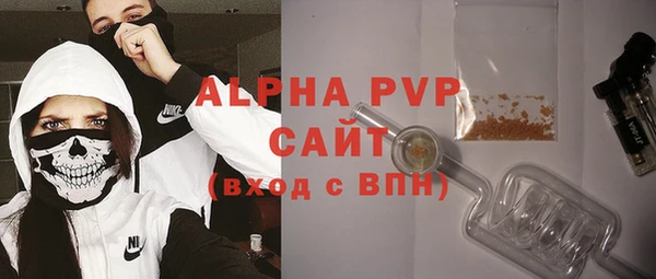 шишки Покачи