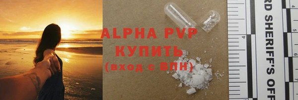 индика Балахна