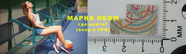индика Балахна
