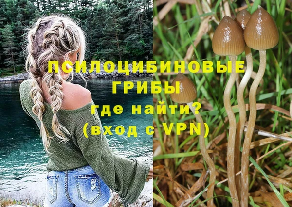 индика Балахна