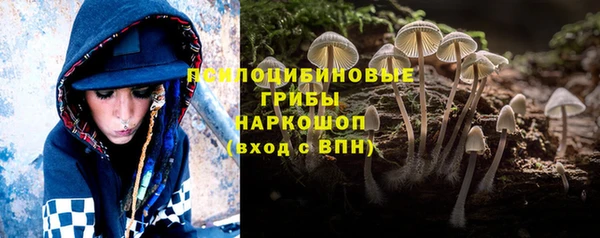 индика Балахна