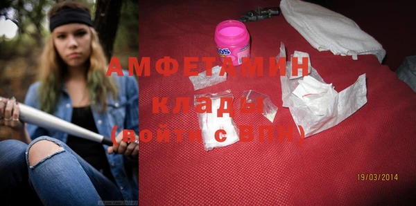 индика Балахна