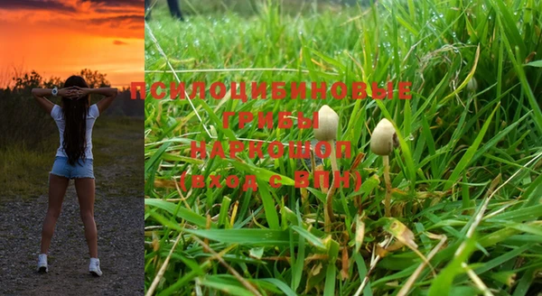 индика Балахна