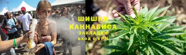 индика Балахна